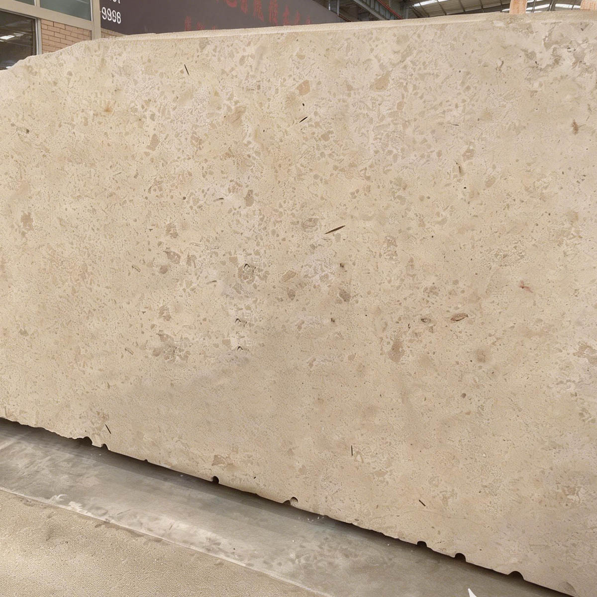 Losas y baldosas pulidas de mármol beige Jura alemán,Losas y baldosas pulidas de mármol beige Jura alemán