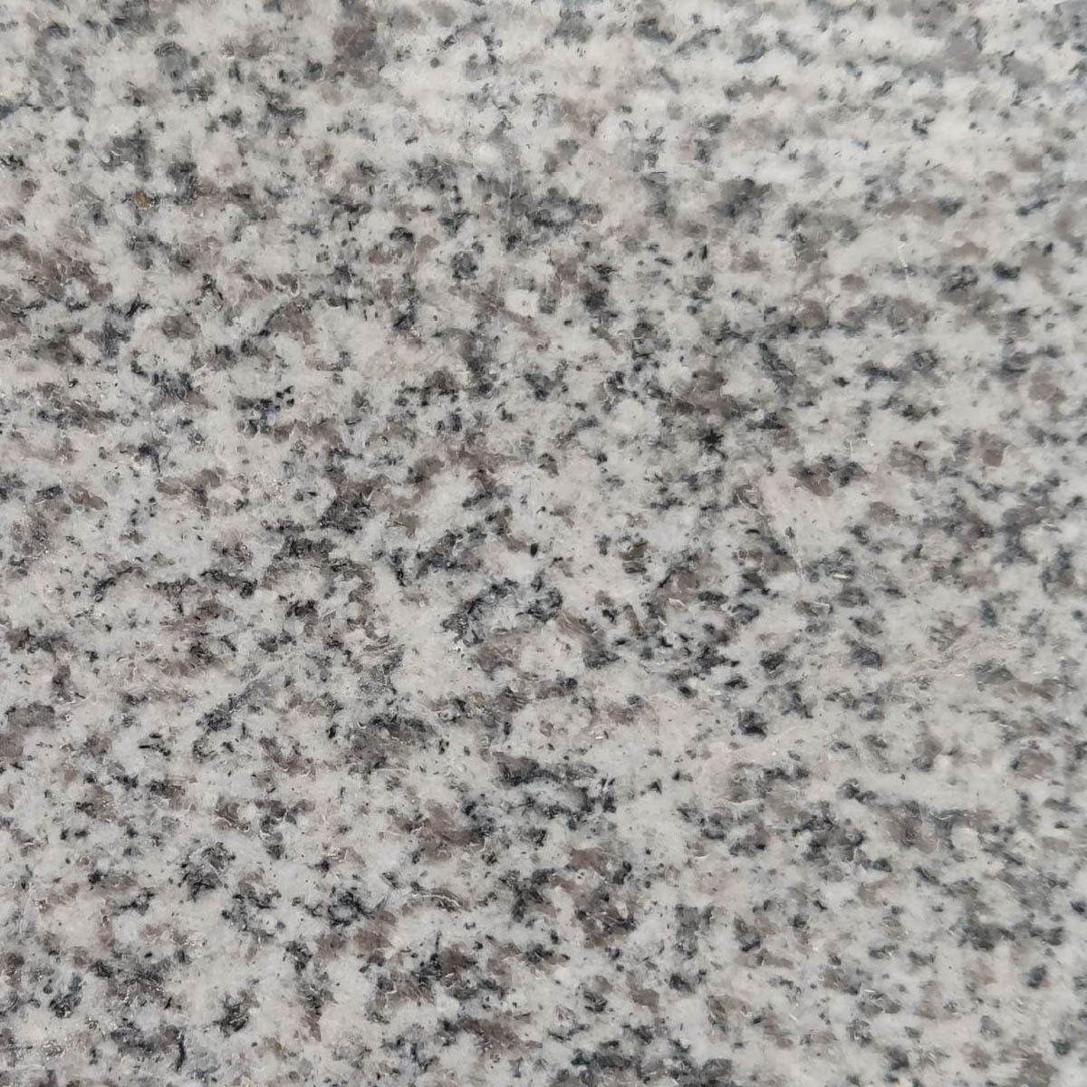 Carreaux de granit poli gris sésame G603, très populaires en Chine,Carreaux de granit poli gris sésame G603, très populaires en Chine