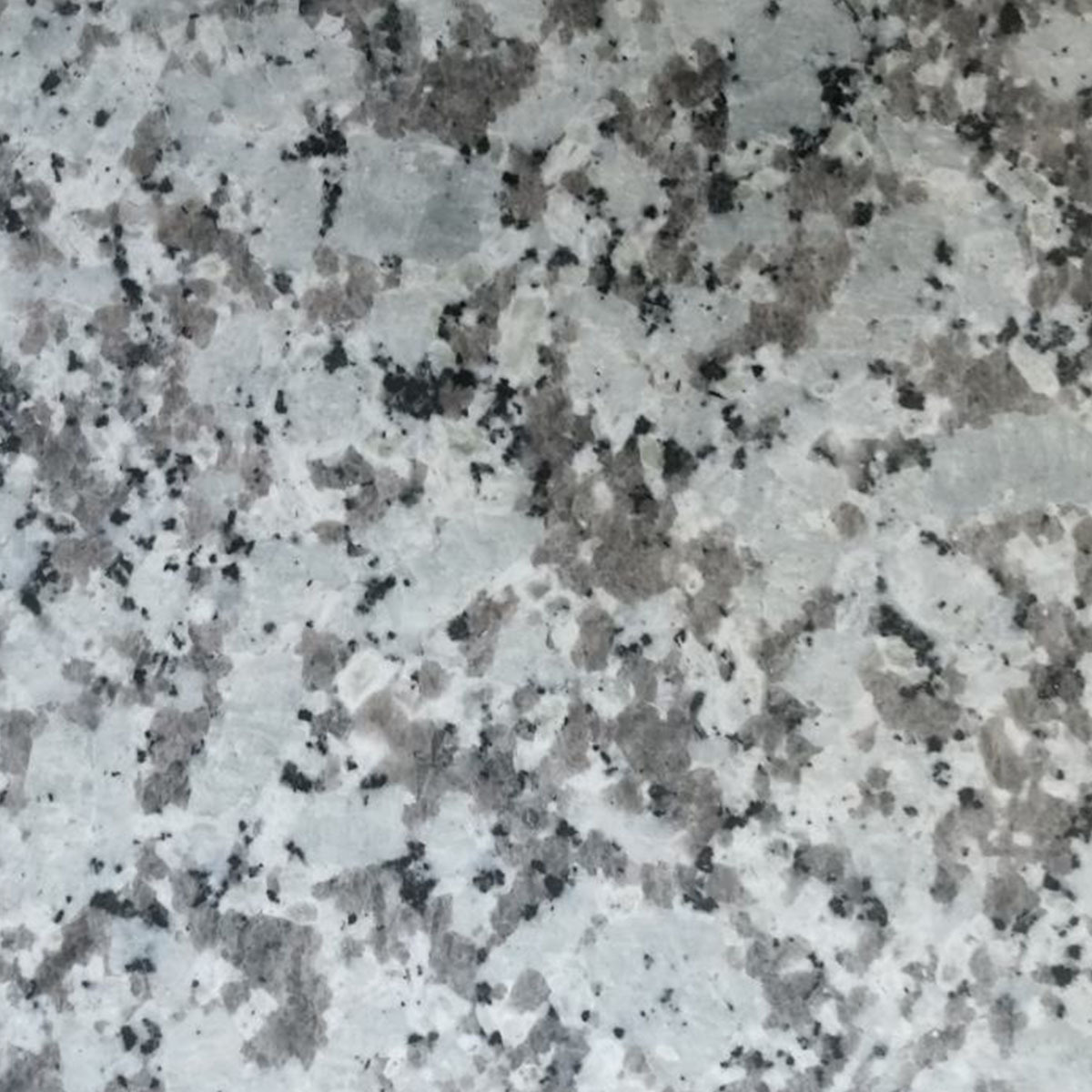 Losa grande de granito blanco de China, piedra natural, baldosas de granito blanco Bala,Losa grande de granito blanco de China, piedra natural, baldosas de granito blanco Bala
