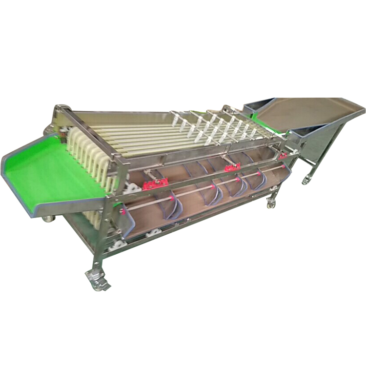 Commercial Orange Apple Tomato Small Fruit Sorting Grading Machine