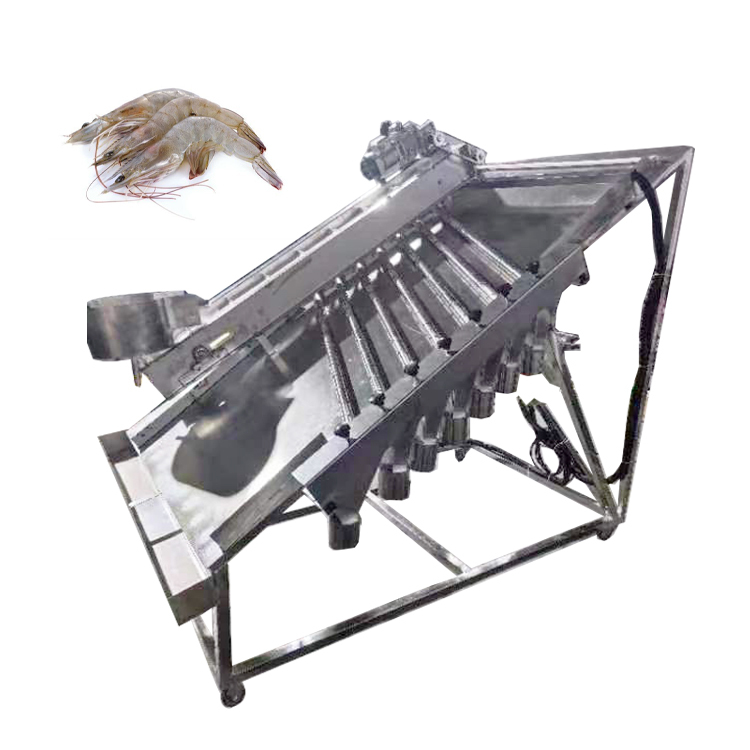 Industrial Automatic Fish Shrimp Size Sorting Grading Machine