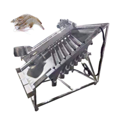 Industrial Automatic Fish Shrimp Size Sorting Grading Machine