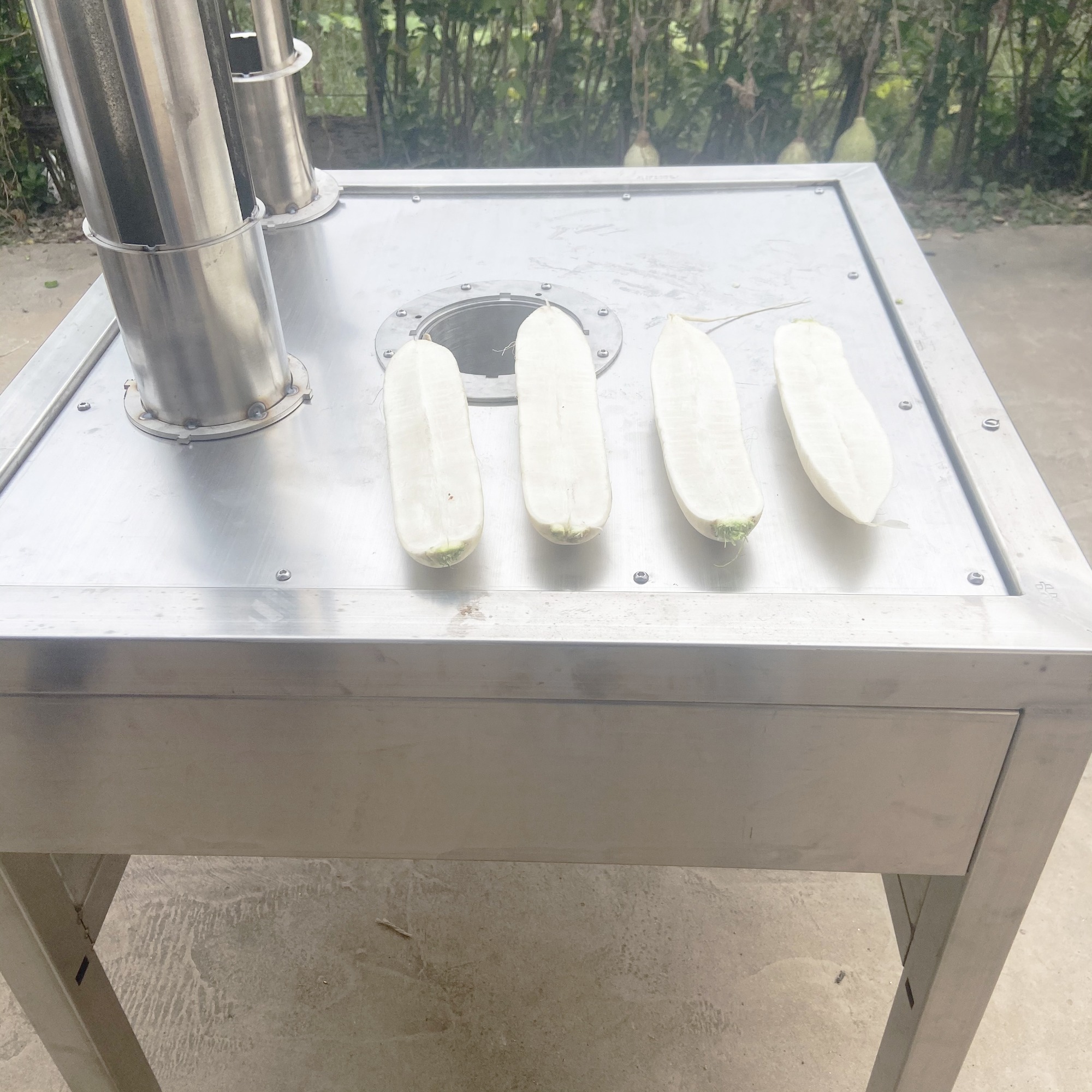 Stainless Steel Fruit Vegetable Slice Cutting Slicing Machine