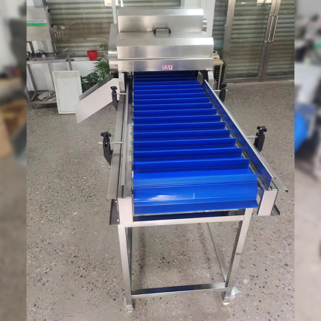 Commercial Stainless Steel Fruit Vegetable Cucumber Root Stem Cutting Machine