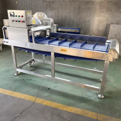 Commercial Stainless Steel Fruit Vegetable Cucumber Root Stem Cutting Machine