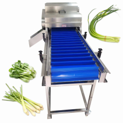 Commercial Stainless Steel Fruit Vegetable Cucumber Root Stem Cutting Machine