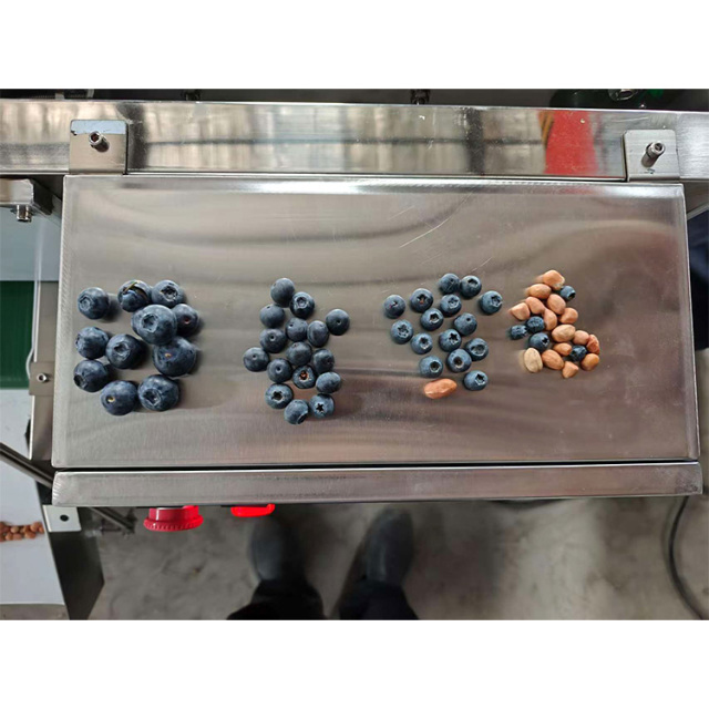 Industrial Electronic Blueberry Sorting Grading Size Sorter Machine Price