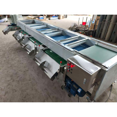Industrial Electronic Blueberry Sorting Grading Size Sorter Machine Price