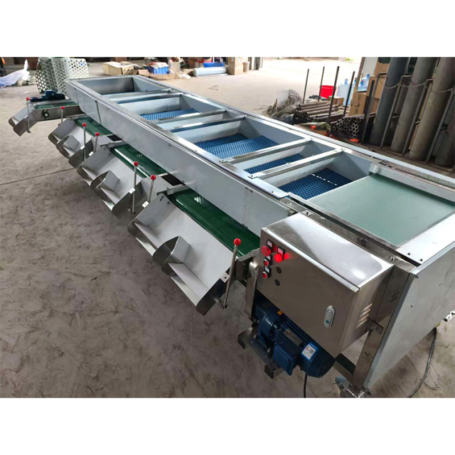 Industrial Electronic Blueberry Sorting Grading Size Sorter Machine Price