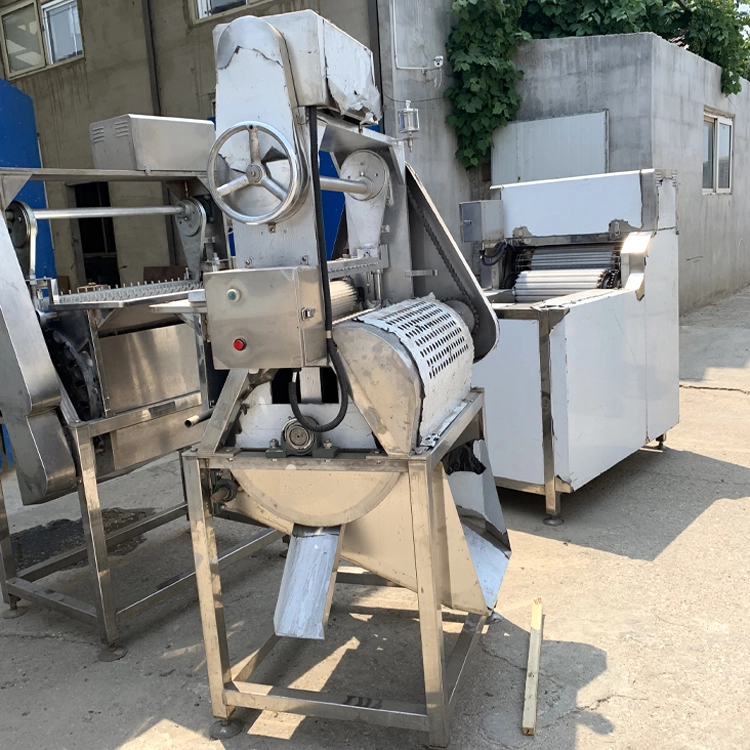 Cherry pitter machine positioned for line integration and installation planning