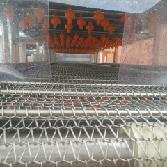 Citrus Fruit Orange Apple Waxing Machine Food Fruit Wax Coating Machine