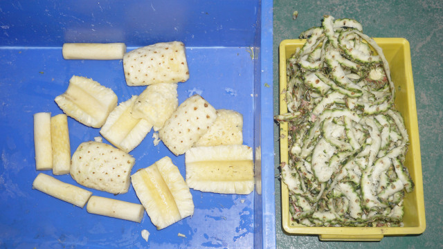 Industrial Automatic Pineapple Peeling Peeler Machine Pineapple Core Removing Machine