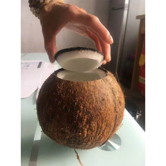 Green Coconut Opening Machine Coconut Cutter Machine