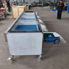Industrial Electronic Blueberry Sorting Grading Size Sorter Machine Price