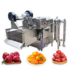Citrus Fruit Orange Apple Waxing Machine Food Fruit Wax Coating Machine