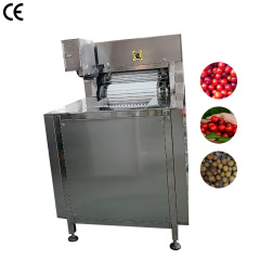 Automatic Cherry Stem Remover Cherry Destemming Machine Stainless Steel
