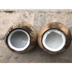 Green Coconut Opening Machine Coconut Cutter Machine