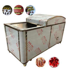 New Olive Pitter Core Removing Machine Electric Date Seed Remover Pitting Machine Price