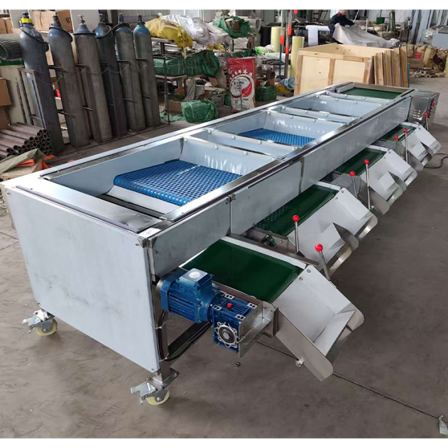 Industrial Electronic Blueberry Sorting Grading Size Sorter Machine Price