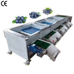Industrial Electronic Blueberry Sorting Grading Size Sorter Machine Price