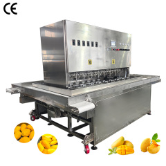 Factory Price Commercial Electric Fruit Mango Kiwi Peeling Peeler Machine for Sale