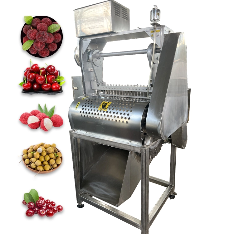 Cherry pitter machine build detail showing stainless steel frame and transmission parts