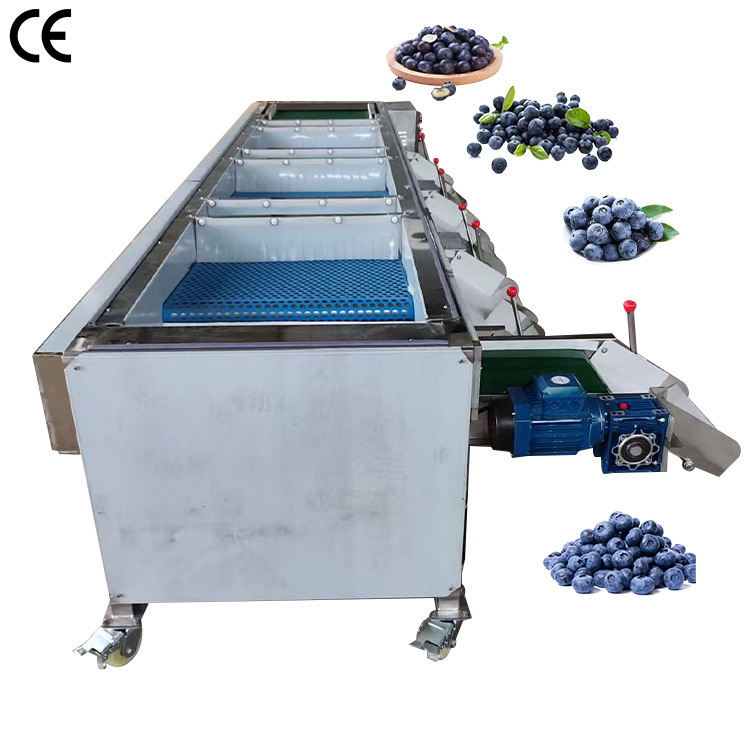 Industrial Electronic Blueberry Sorting Grading Size Sorter Machine Price