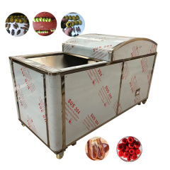 New Olive Pitter Core Removing Machine Electric Date Seed Remover Pitting Machine Price