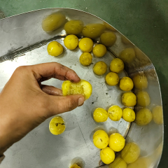 Plum Core Removal Machine Automatic Fruit Cherry Peach Olive Pitting Coring Machine