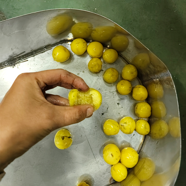 Plum Core Removal Machine Automatic Fruit Cherry Peach Olive Pitting Coring Machine