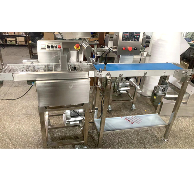 Chocolate Belt Coating Machine Biscuit Cookie Chocolate Coating Machine Price