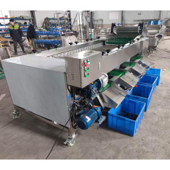 Stainless Steel Fruit Roller Sorting Grading Machine