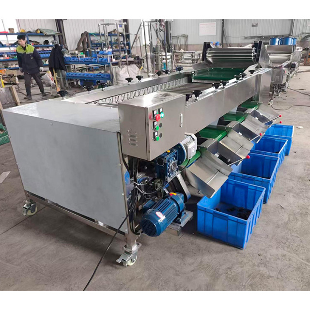 Stainless Steel Fruit Roller Sorting Grading Machine