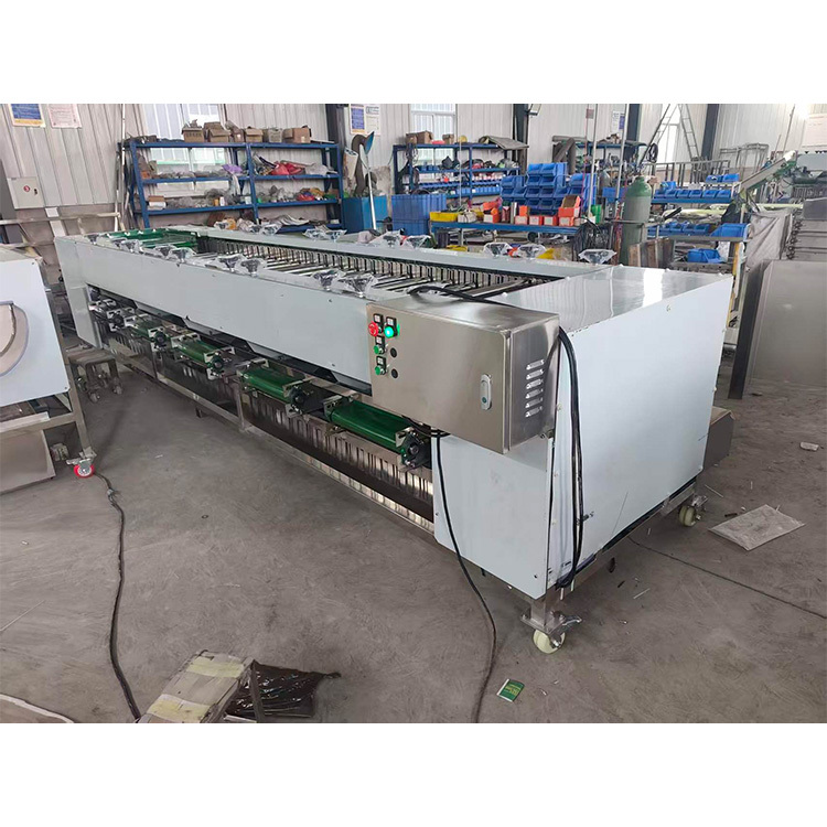 Stainless Steel Fruit Roller Sorting Grading Machine