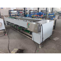 Stainless Steel Fruit Roller Sorting Grading Machine