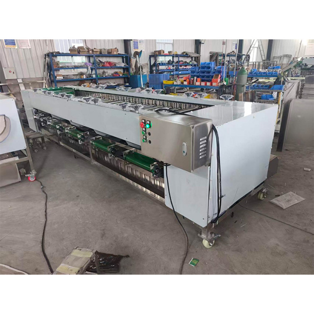 Stainless Steel Fruit Roller Sorting Grading Machine
