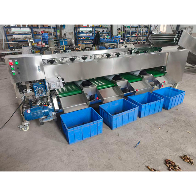 Stainless Steel Fruit Roller Sorting Grading Machine