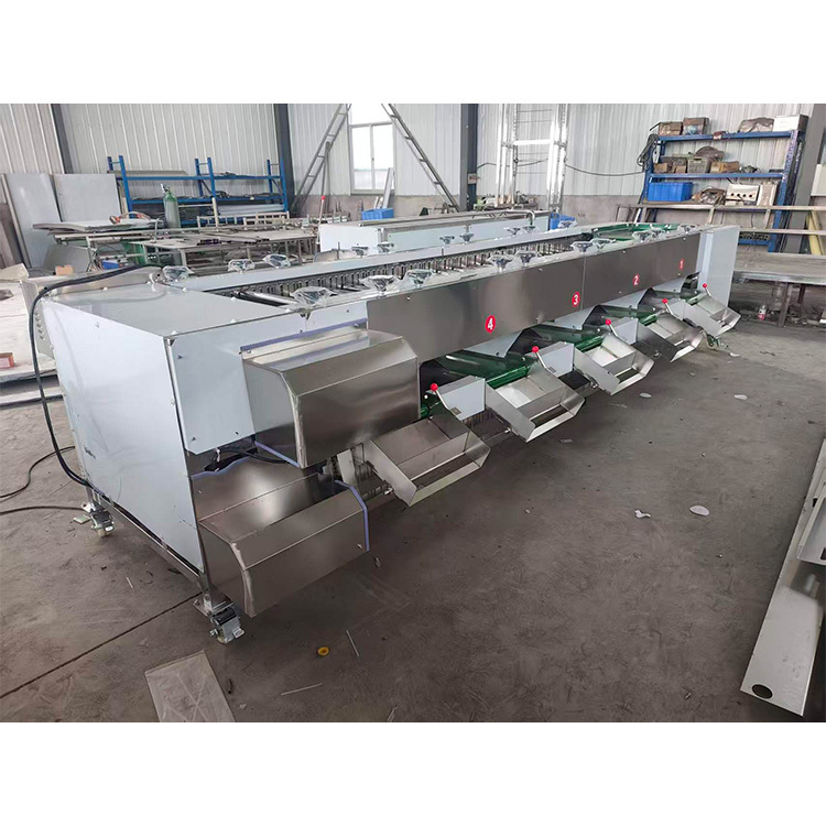 Stainless Steel Fruit Roller Sorting Grading Machine