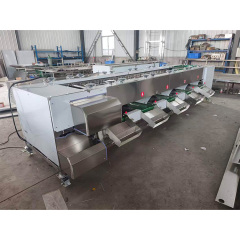 Stainless Steel Fruit Roller Sorting Grading Machine