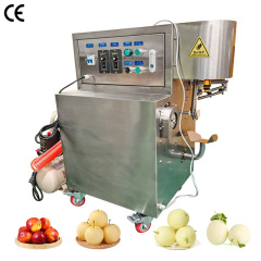fruit peeling machine