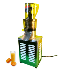 Commercial Cold Press Juice Extractor PH‑Z1200,1200W Fruit Juicer