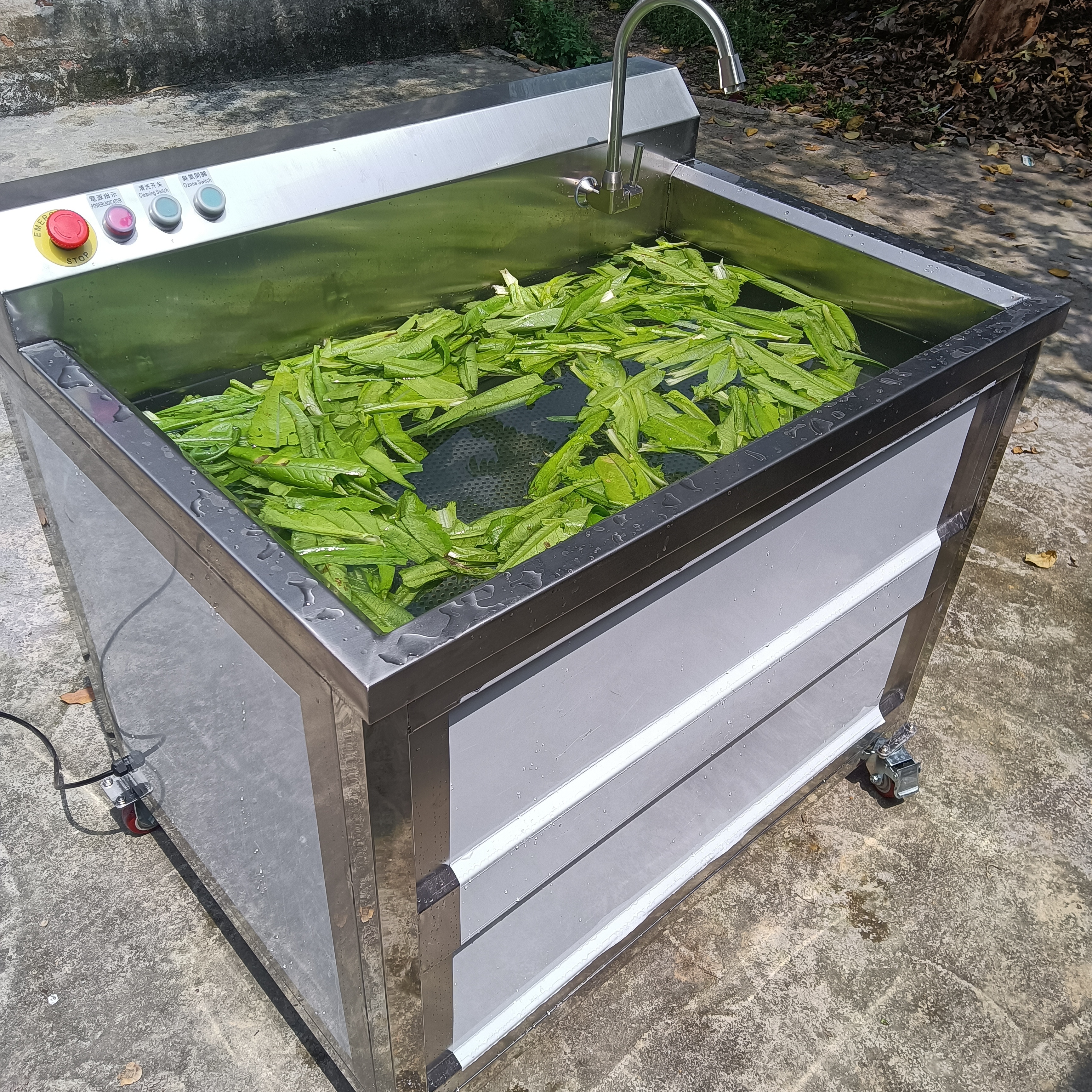 Small Fruit Bubble Washing Machine Vegetable Bubble Washer With Ozone