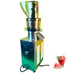 Commercial Cold Press Juice Extractor PH‑Z1200,1200W Fruit Juicer