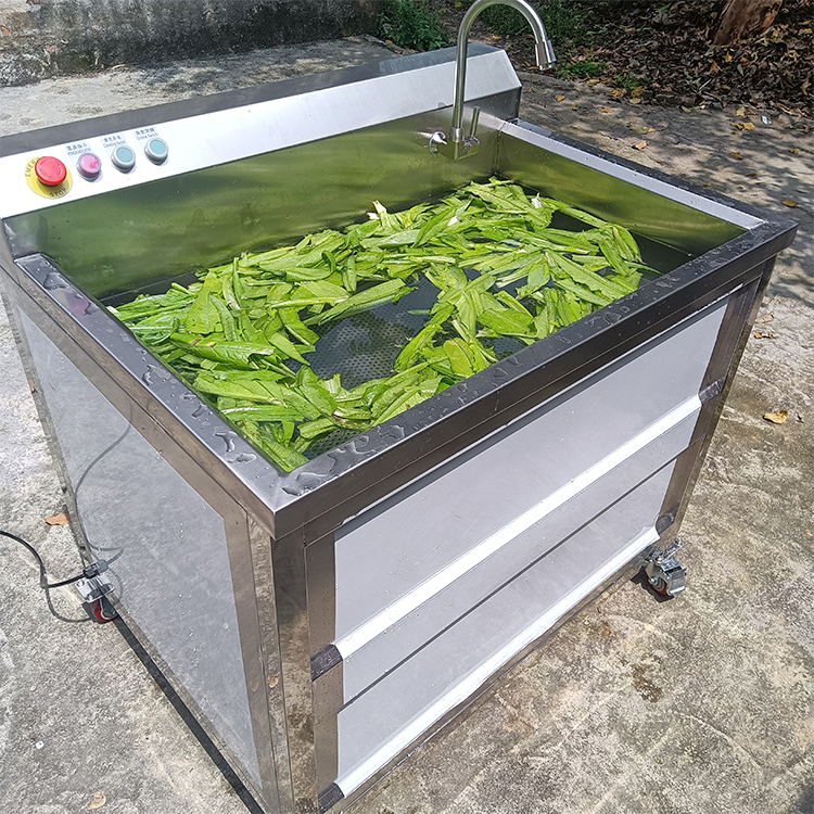 Small Fruit Bubble Washing Machine Vegetable Bubble Washer With Ozone