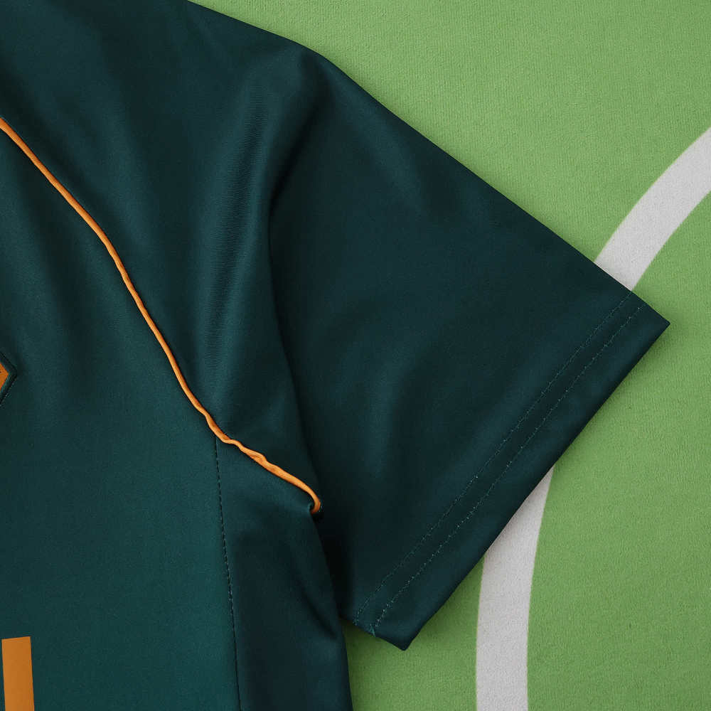 2526 season SV Werder Bremen third Fan version