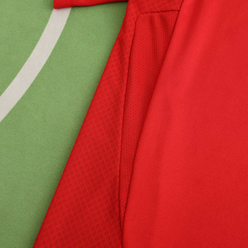 2425 season Benfica home Fan version