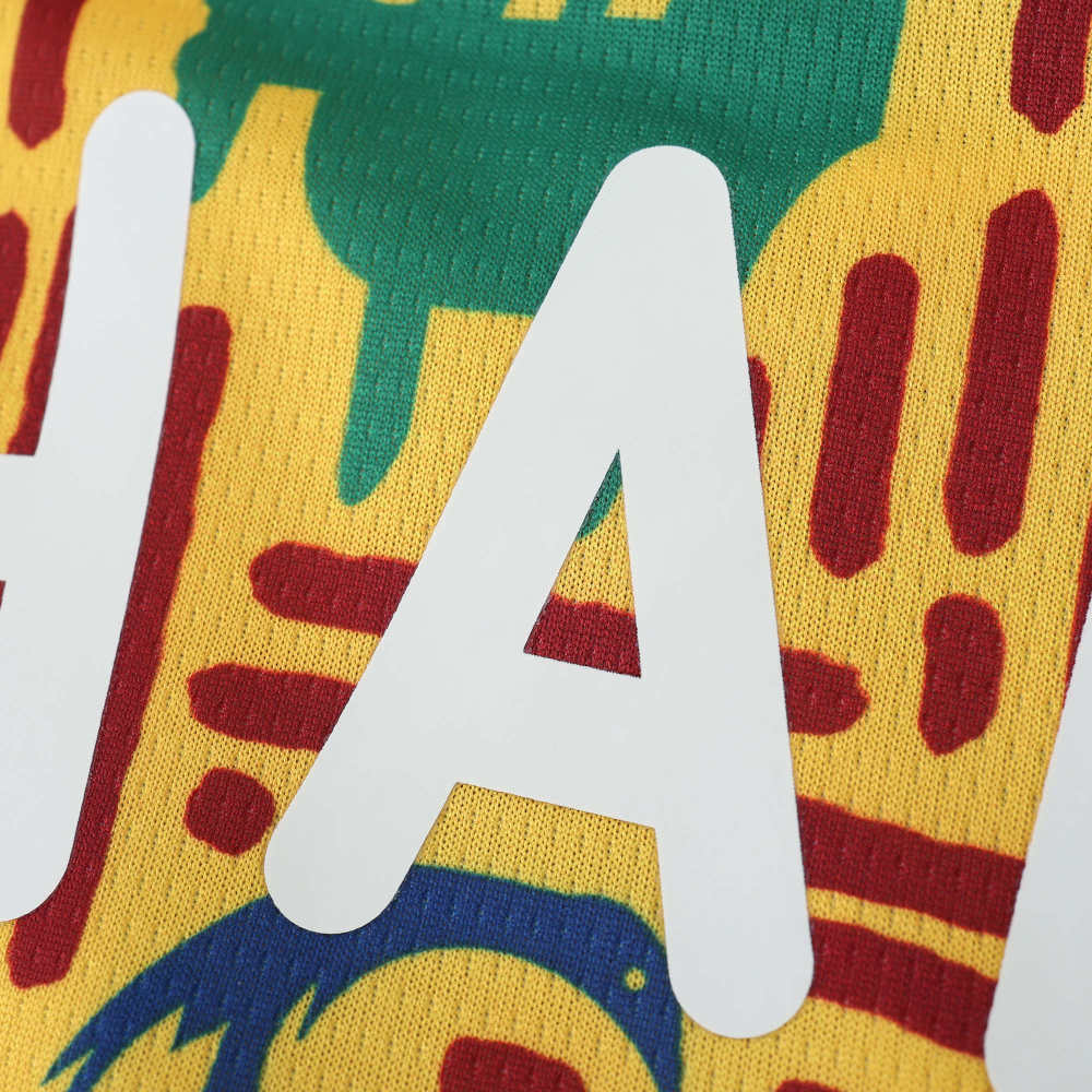 2526 season Ghana Training clothes Fan version