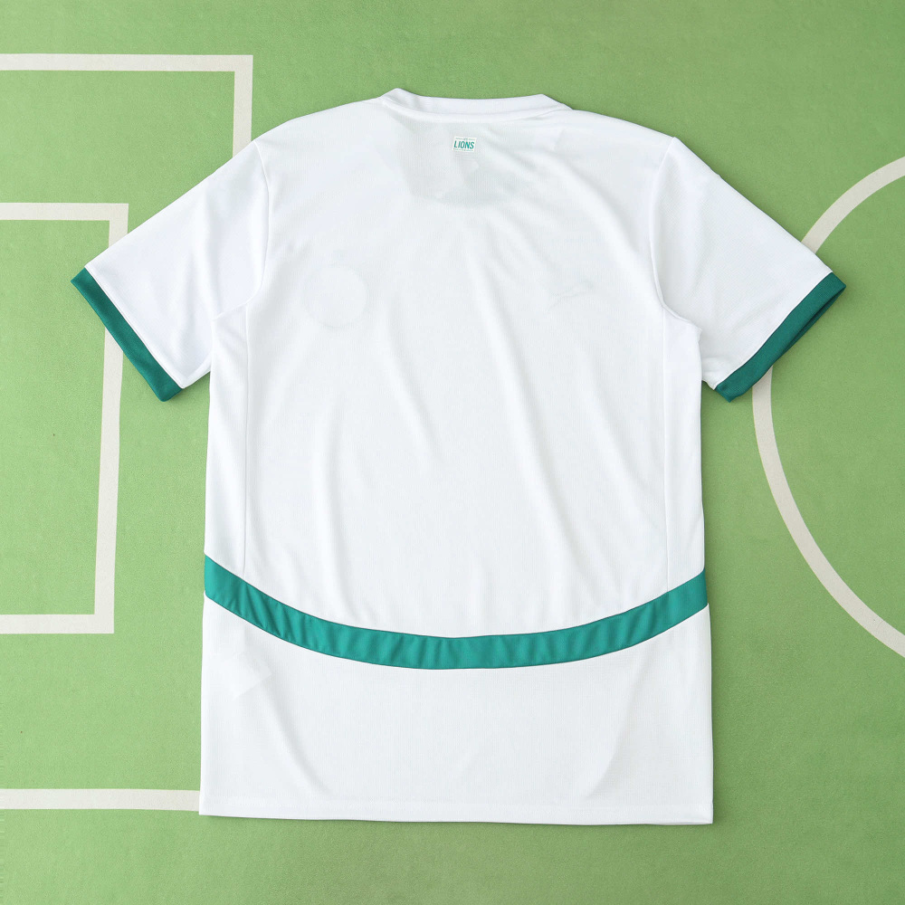2425 season Senegal home Fan version