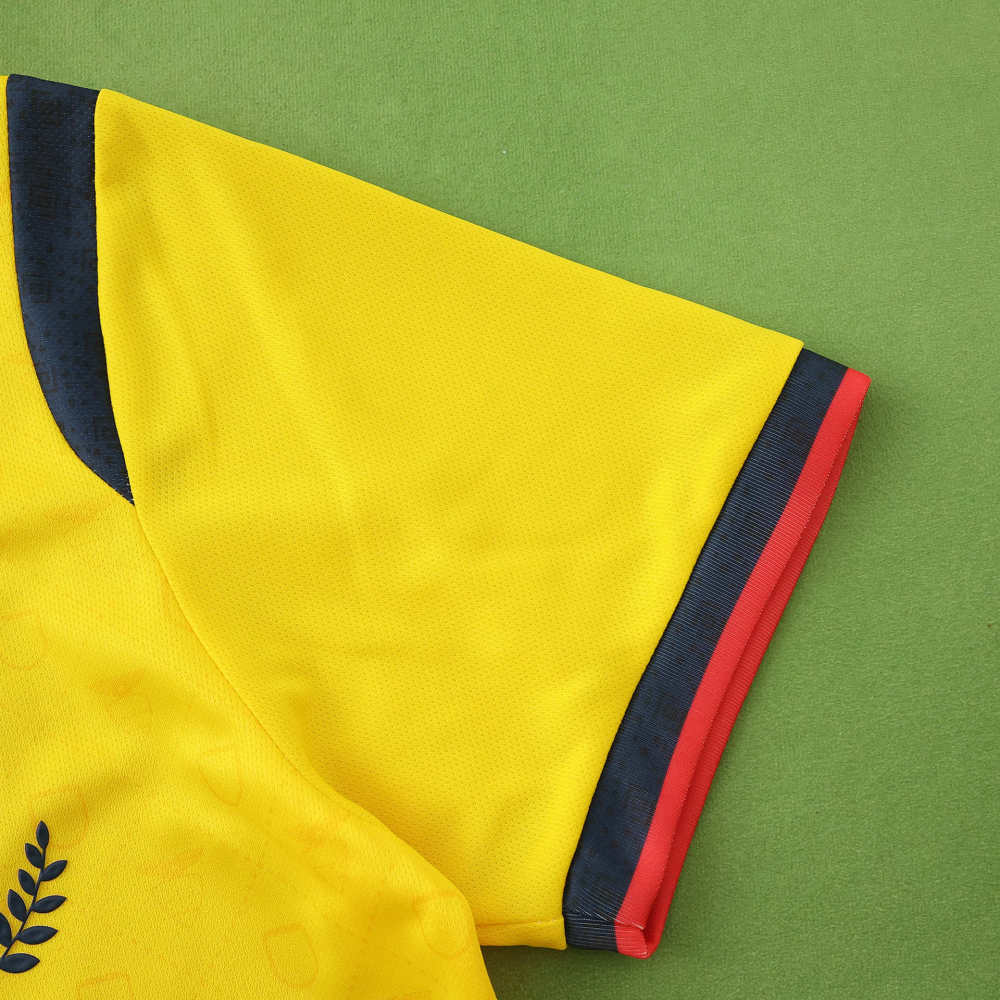 2526 season Ecuador away Fan version