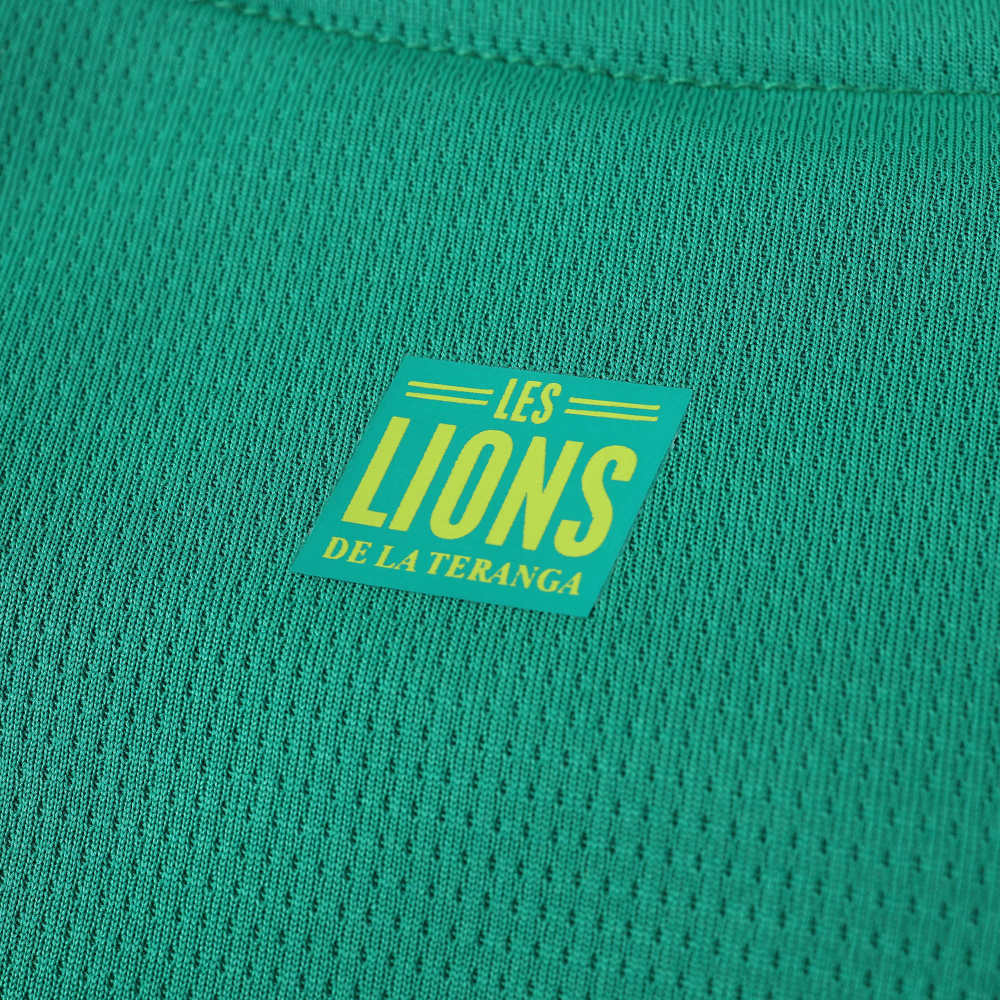 2526 season Senegal away Fan version